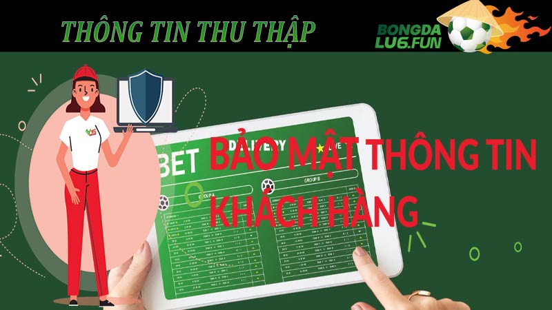 Những thông tin được chúng tôi thu thập