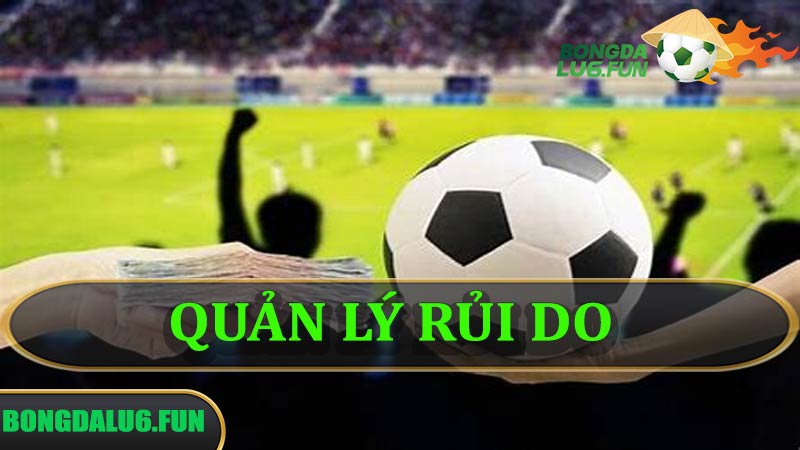 Quản lý rủi ro và vốn đầu tư